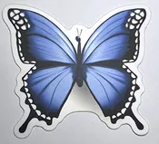 Blue Butterfly Sticker