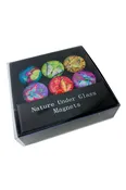 6 Glass Butterfly Magnets