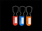 10 Standard Key Seals