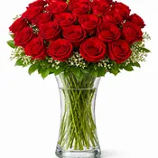 2 Dozen Red Roses