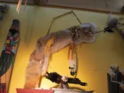 Coyote or Red Fox Quiver