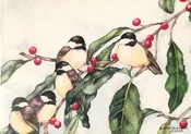 Barbara Weets: "Winter Forage - Chickadees"