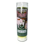 2026 Taurus Solar Return Magic Candle | April 20 - May 20 (Limited Edition)