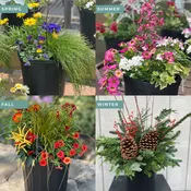 4-Seasons Drop-in Container Subscription: 1 Container