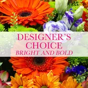 Designer's Choice - Bright and Bold