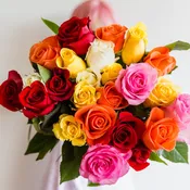 Colorful Rose Presentation Artfully Wrapped with Bow