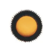 Bissell 13 inch Black Carpet Brush