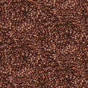 Brown Packed Coffee Beans by Timeless Treasures
