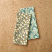 Ariella Tea Towels, Set of 2