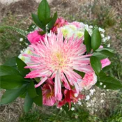 Northmont Shades of Pink Handheld Bouquet