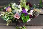 MOODY PURPLES