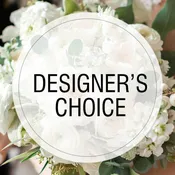 Designer's Choice - $300