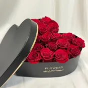 Hearts of Love