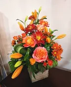 AUTUMN ELEGANCE
