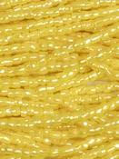 3C Op Corn Yellow Lus 9/0