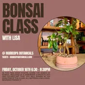 Bonsai Building Class | Maricopa Botanicals