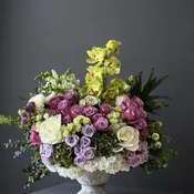 Garden Royale