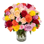 100 Kaleidoscope Roses