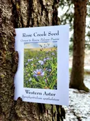 Rose Creek ASTER OCCIDENTALIS – Western Aster Seeds