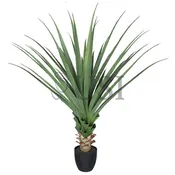 Agave Succulent Plant x36 Leaves Potted, 48in, Green