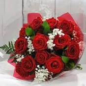 1dz red rose wrap