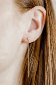 Darby Duster Earrings