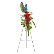 Honor Spray DGTMF-725