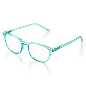 Avery Glasses | Blue Light Blocking | Luxury Case and Cloth | Available With Or Without Magnification