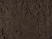 1 Ton (1 yard) of Screened Black Dirt, pickup