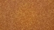 107/108" Copper 100% Cotton Blender - WHOLESALE FABRIC - 15 Yard Bolt