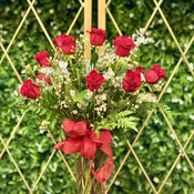 Dozen Roses