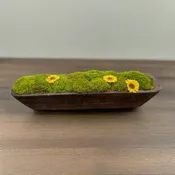Blackwood Preserved Moss Bowl Trough | Wooden Moss Bowl Centerpiece