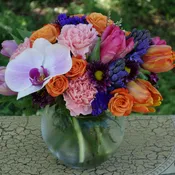 Spring Along