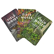 Field Notes After the Age of Dinosaurs Set of 3