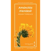 Amsinckia menziesii (Menzies' Fiddleneck) Seeds — Native West Nursery - California Native Plants