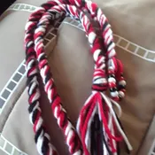 My Life Matters Harmony Sash
