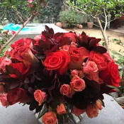 Roses in heaven