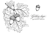 Acorn Almanac {8/26}