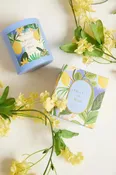 Amalfi Del Mar Candle