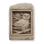 Barn Owl