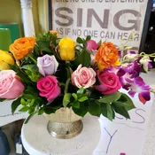 Roses Galore