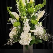 Green and White Delight