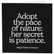 Adopt the Pace Of