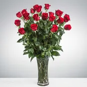 Two Dozen Long Stemmed Red Roses by BloomNation™