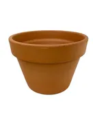 Azalea Terracotta Pot