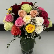 Bloom0509