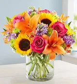 Blooms in Spring