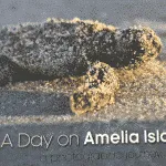 “A Day on Amelia Island”