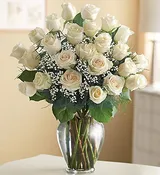 24 Premium Long Stem White Playa Blanca Roses