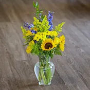 A Splash of Sunshine